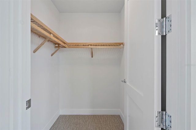 walk in closet with carpet flooring