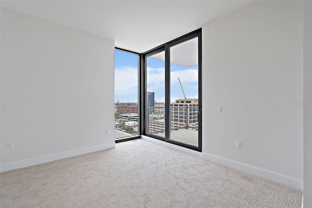 carpeted spare room featuring floor to ceiling windows and a healthy amount of sunlight