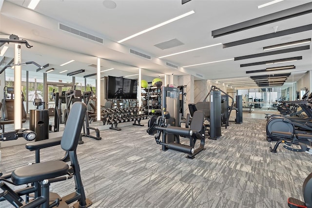 exercise room featuring carpet