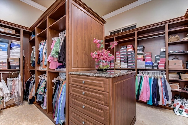 walk in closet with light colored carpet