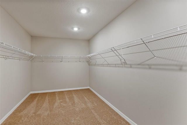 walk in closet with carpet flooring