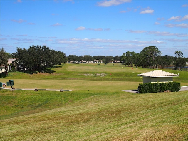 view of community with a lawn