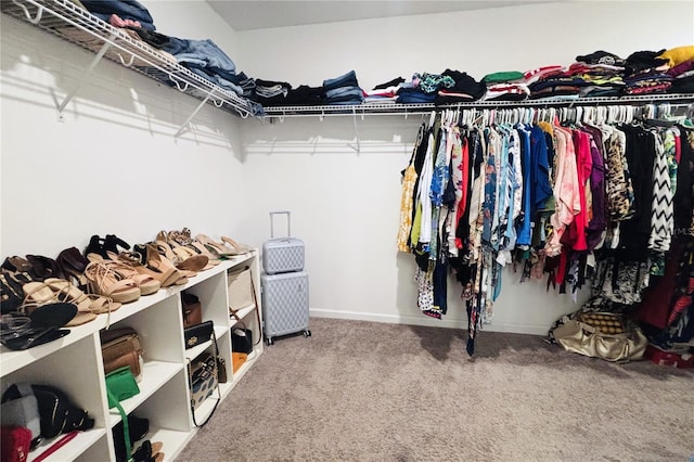 walk in closet with carpet flooring