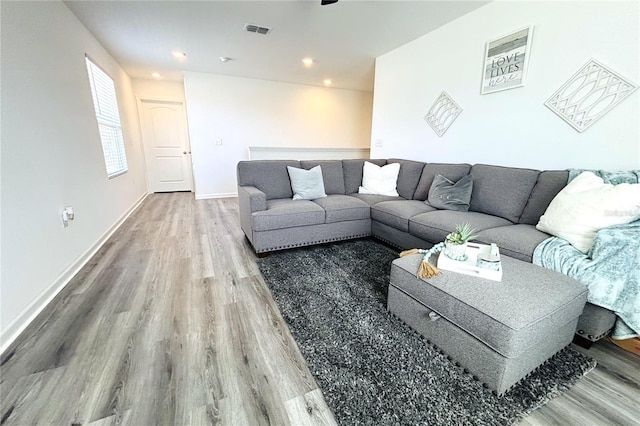 living room with hardwood / wood-style flooring