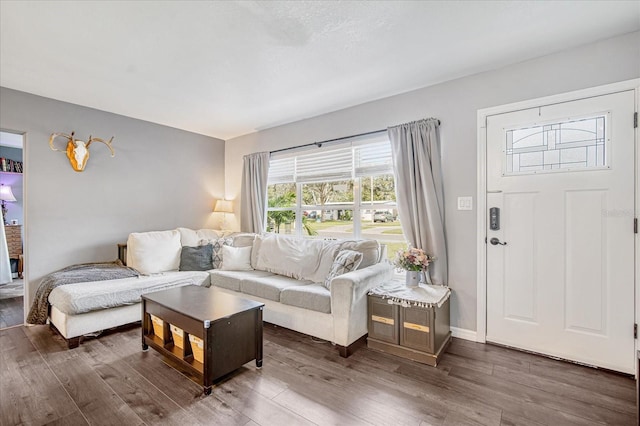 living room featuring dark hardwood / wood-style flooring