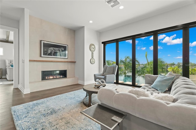 living room featuring a fireplace and dark wood-type flooring