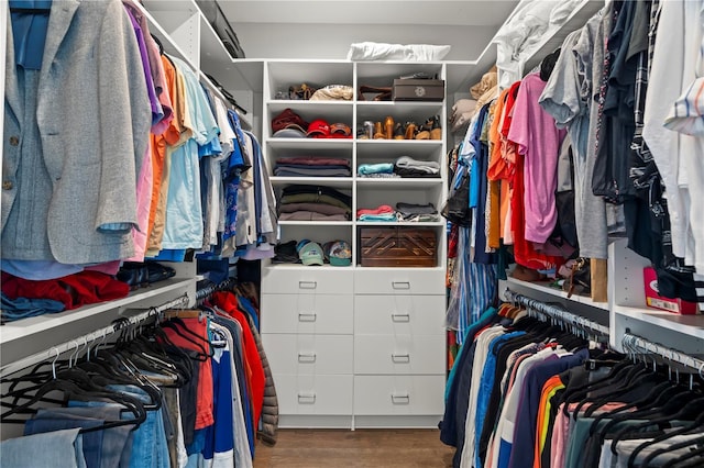 spacious closet featuring wood-type flooring