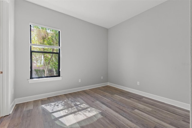 spare room featuring wood-type flooring