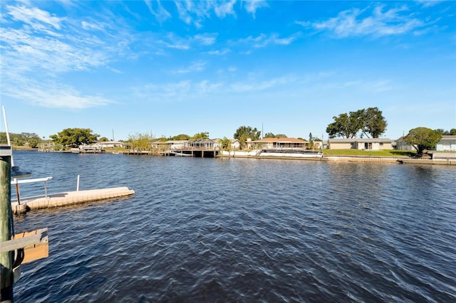 dock area with a water view