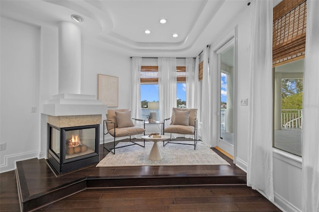 living area featuring a multi sided fireplace, dark hardwood / wood-style floors, and a raised ceiling