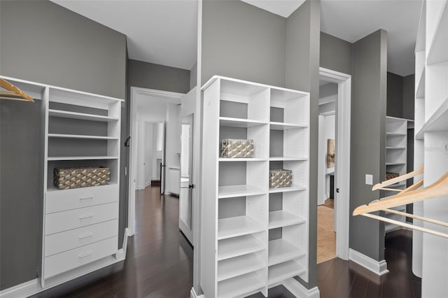 walk in closet featuring dark hardwood / wood-style flooring