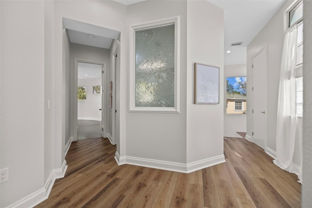 hallway featuring hardwood / wood-style floors and a wealth of natural light