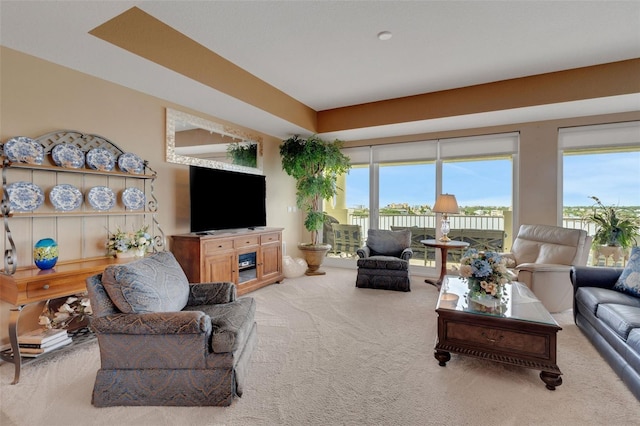 living room with carpet