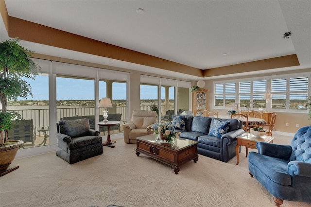 carpeted living room featuring a raised ceiling