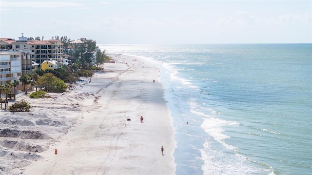 water view featuring a beach view