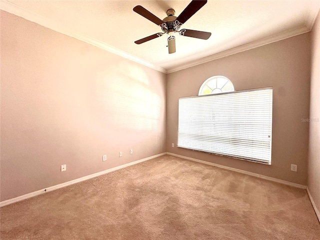 10411 Riverburn Dr, Tampa, FL 33647 - photo 14