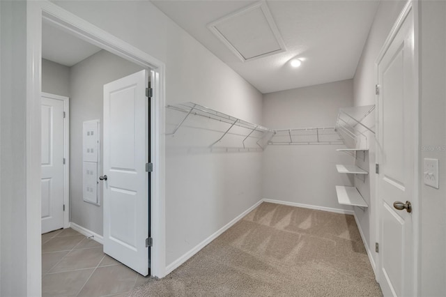 view of walk in closet