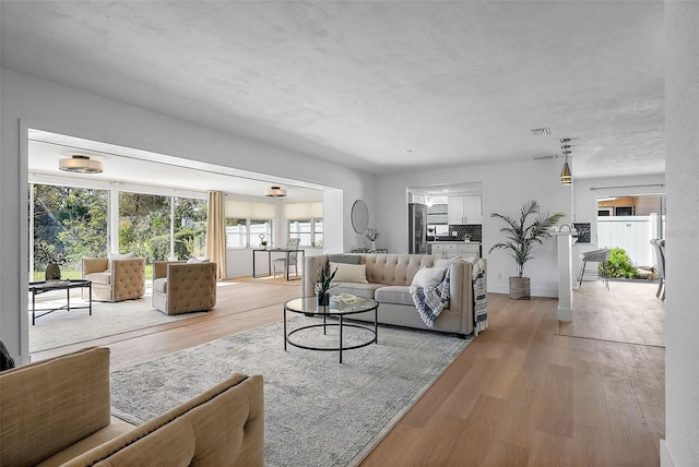 living room with light wood-type flooring and a wealth of natural light