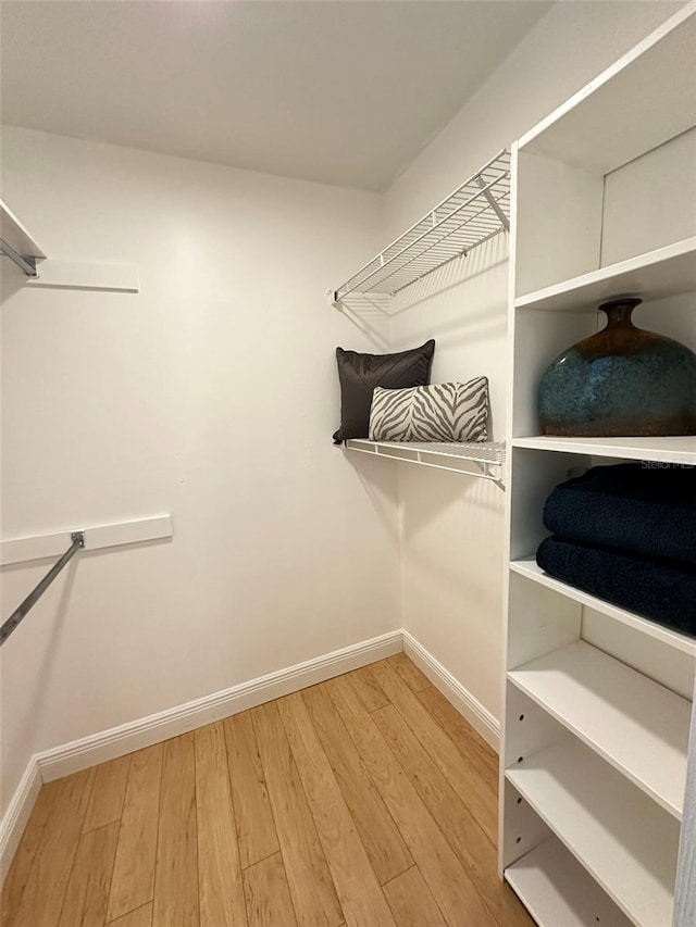 spacious closet with wood-type flooring