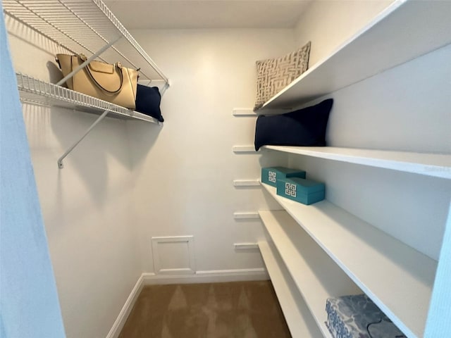 walk in closet with dark carpet