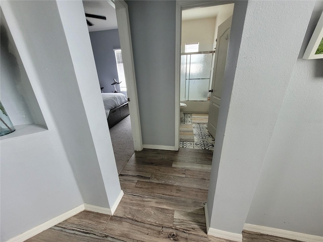 hallway with hardwood / wood-style floors