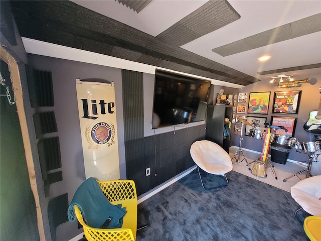 rec room with carpet floors