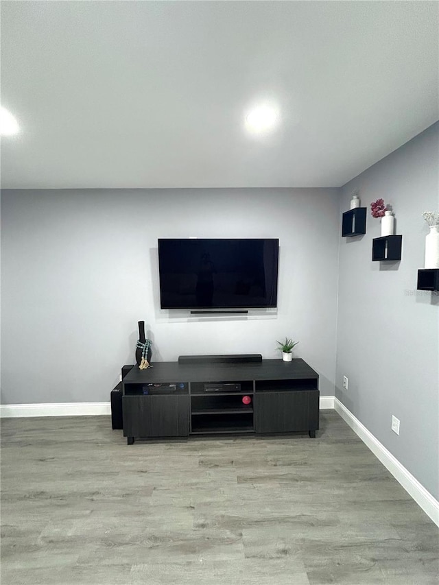 living room featuring light hardwood / wood-style flooring