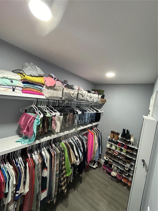 spacious closet with dark hardwood / wood-style floors