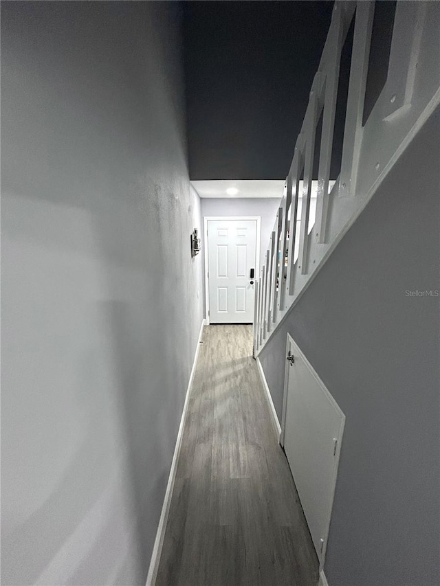 corridor with dark wood-type flooring