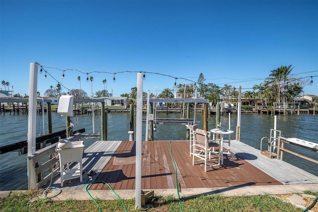 dock area with a water view