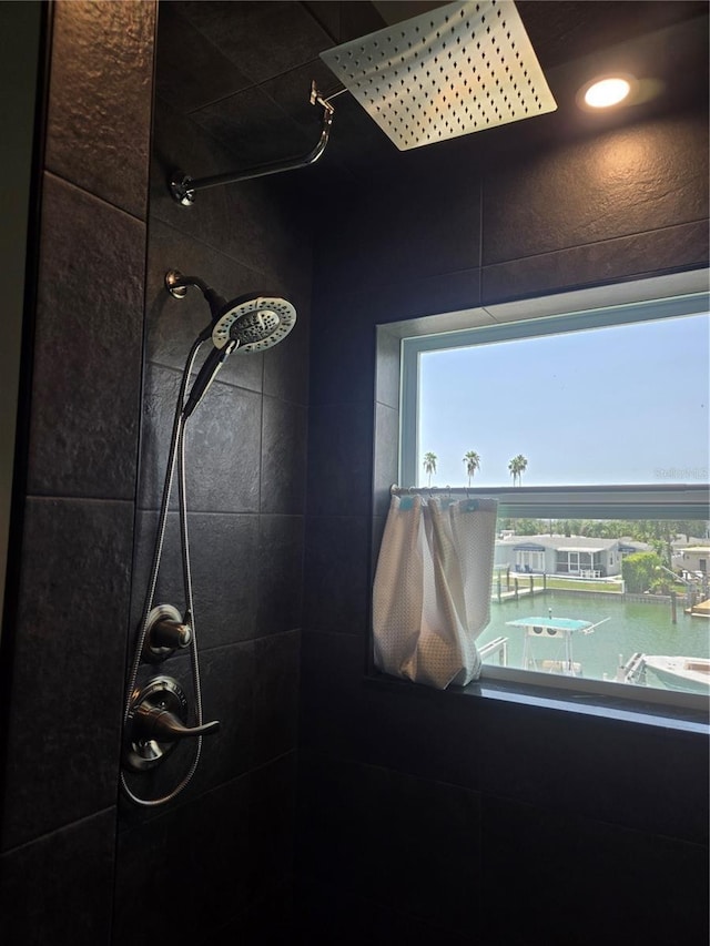 details featuring tiled shower and a water view