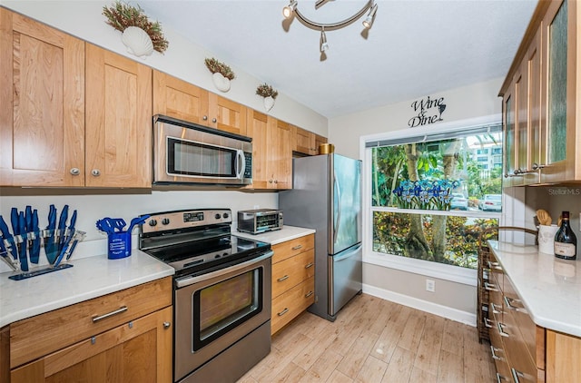 kitchen with light hardwood / wood-style flooring and stainless steel appliances