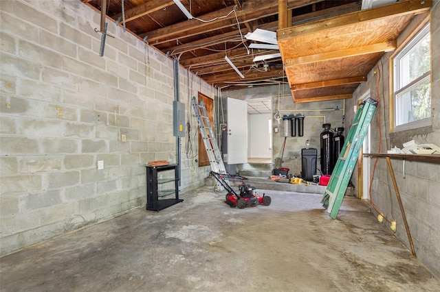 basement with electric panel