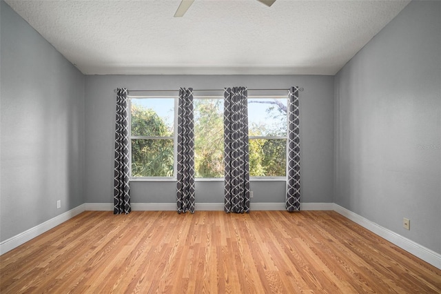 unfurnished room featuring light hardwood / wood-style floors, a textured ceiling, and a wealth of natural light