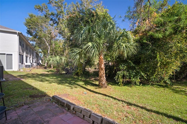 view of yard with a patio area