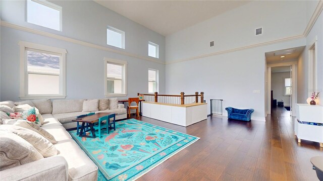 living room featuring a high ceiling and dark hardwood / wood-style flooring