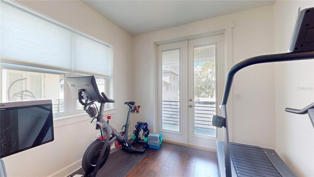 workout room featuring dark wood-type flooring, french doors, and a wealth of natural light