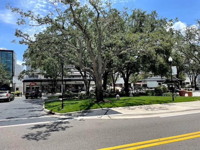 view of front of property with a front lawn