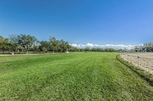 11550 Innfields Dr, Odessa, FL 33556 - photo 5
