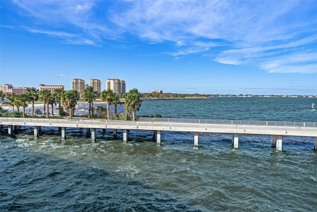 dock area with a water view