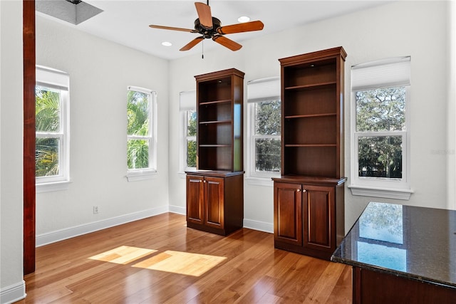 interior space with light hardwood / wood-style floors, ceiling fan, and a healthy amount of sunlight