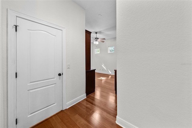 hallway featuring hardwood / wood-style floors and a textured ceiling