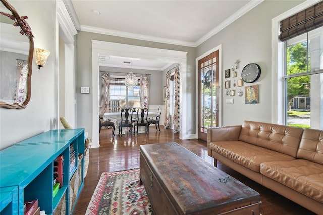 living room with a notable chandelier, ornamental molding, and dark hardwood / wood-style flooring