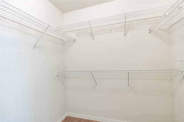 view of walk in closet