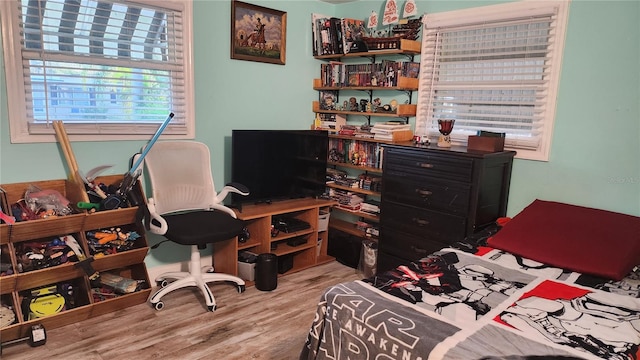 bedroom with hardwood / wood-style floors