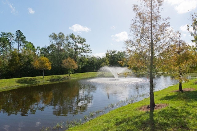 property view of water