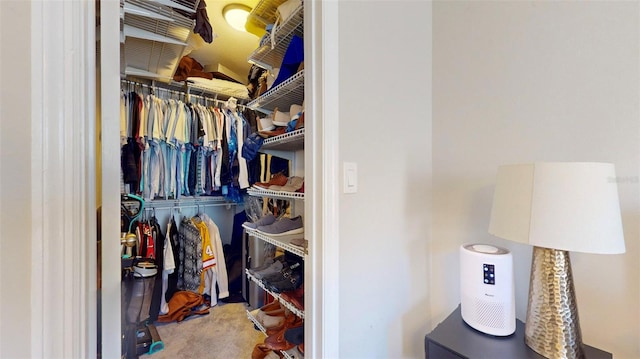 spacious closet featuring carpet floors