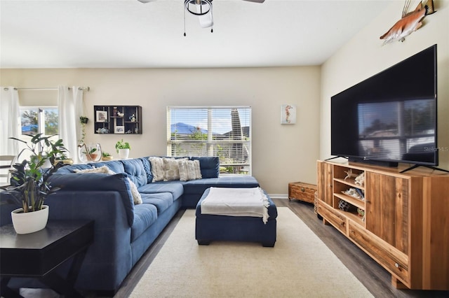 living room featuring dark wood-type flooring, ceiling fan, and a healthy amount of sunlight