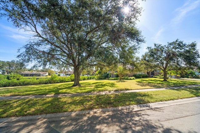 view of property's community with a lawn