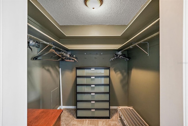 spacious closet featuring carpet